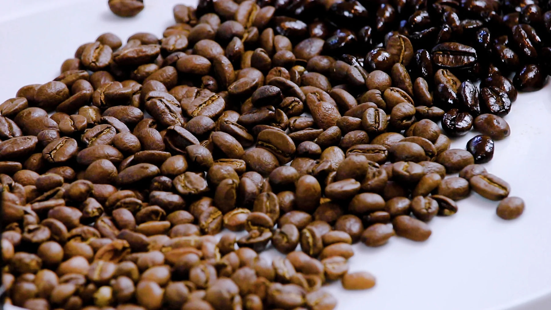 The Art of Dark Roasting: Unraveling Costa's Instant Intense Dark Roast Coffee
